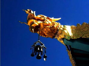 澳门香港开奖结果+开奖记录表|深度分析解释落实_经典款.8.561