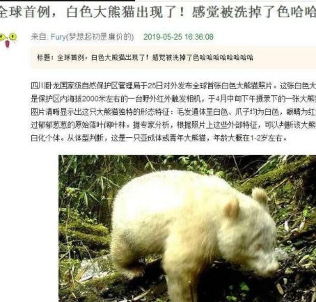 铁算子王中王免费资料大全|权威解答解释落实_智慧版0.209