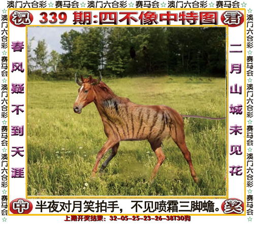 2024今晚澳门开特马四不像|经典解答解释落实_复古款.3.406