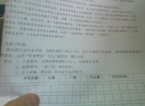 新澳好彩免费资料查询小龙女|权威分析解释落实_习作版.6.701