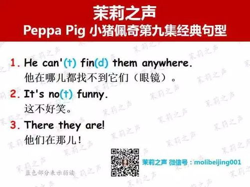 白小姐精准免费四肖四码|解析数据如何有效应用_正式集.8.85